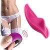 wearable Panty Vibrator for Women
